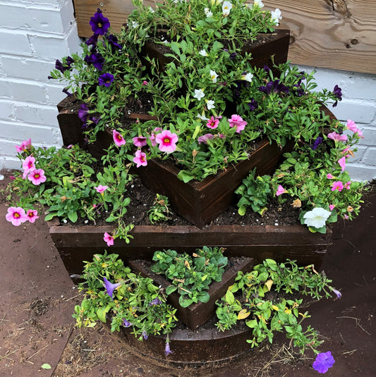 Nine Plant Half Barrel Planter